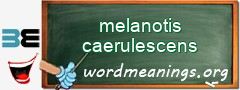 WordMeaning blackboard for melanotis caerulescens